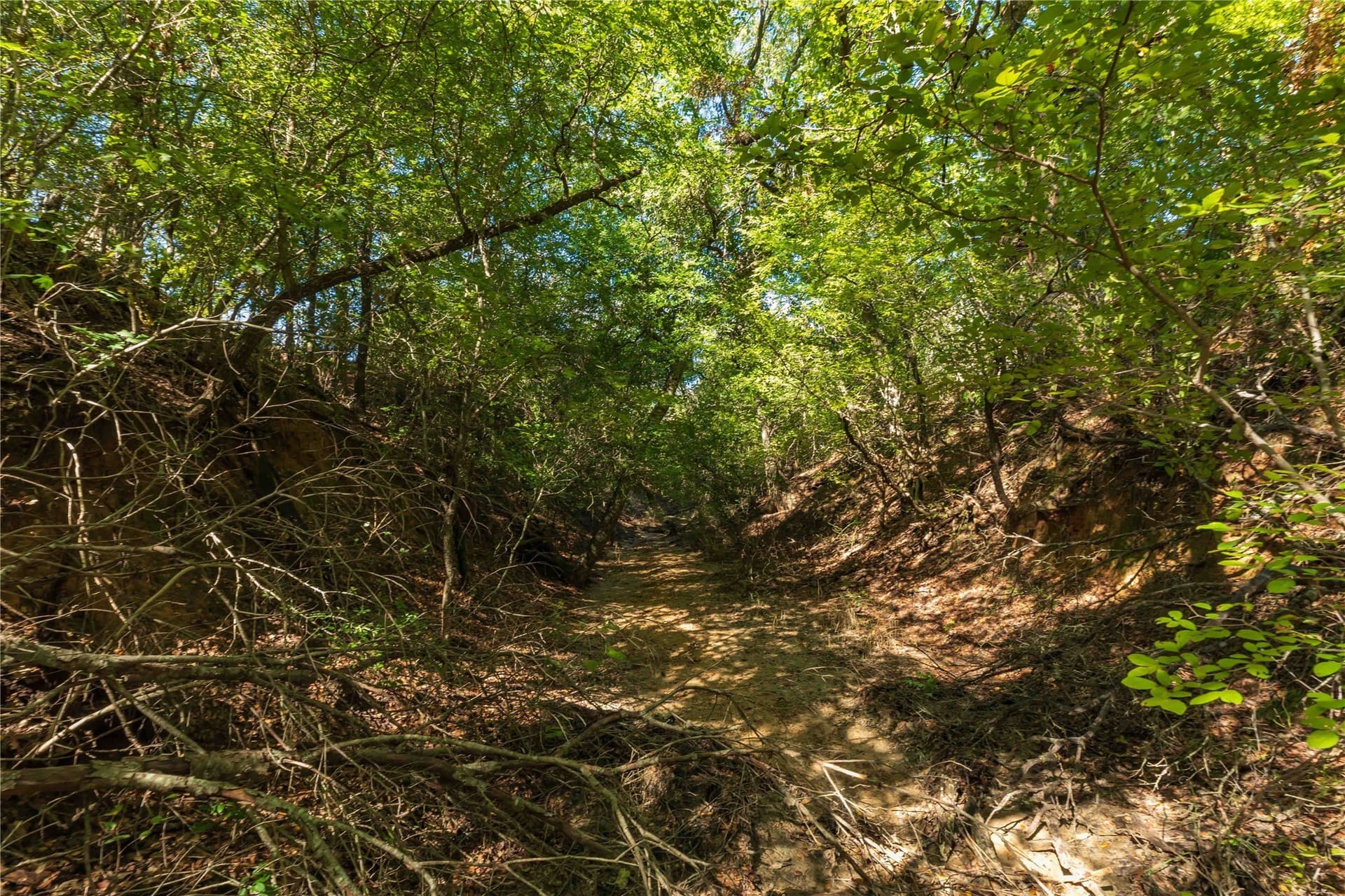 94.35 acres in Comanche County - photo 14