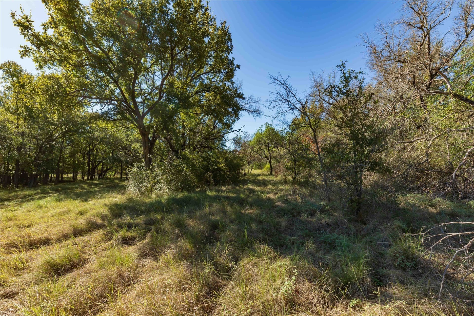 94.35 acres in Comanche County - photo 7