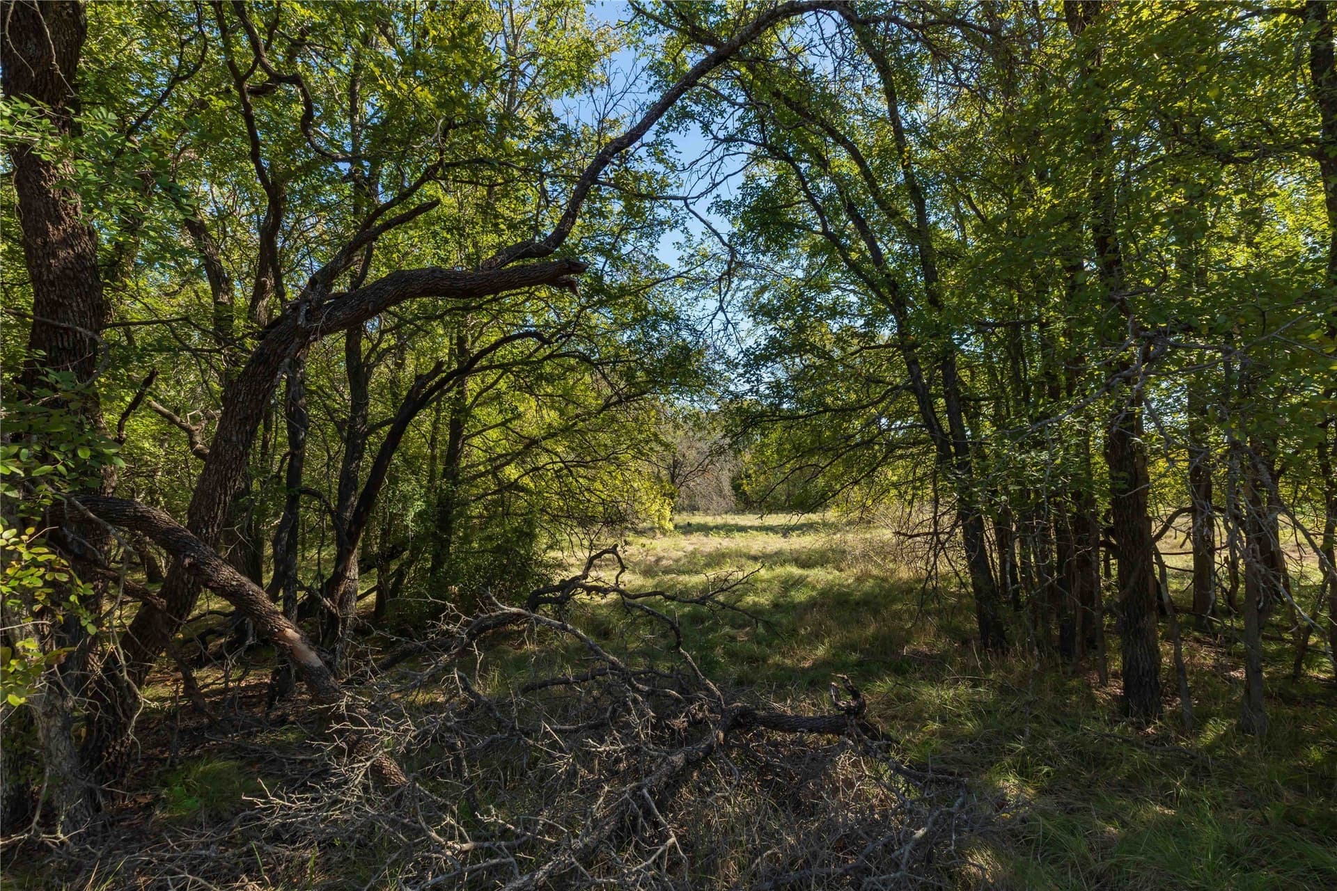 94.35 acres in Comanche County - photo 9