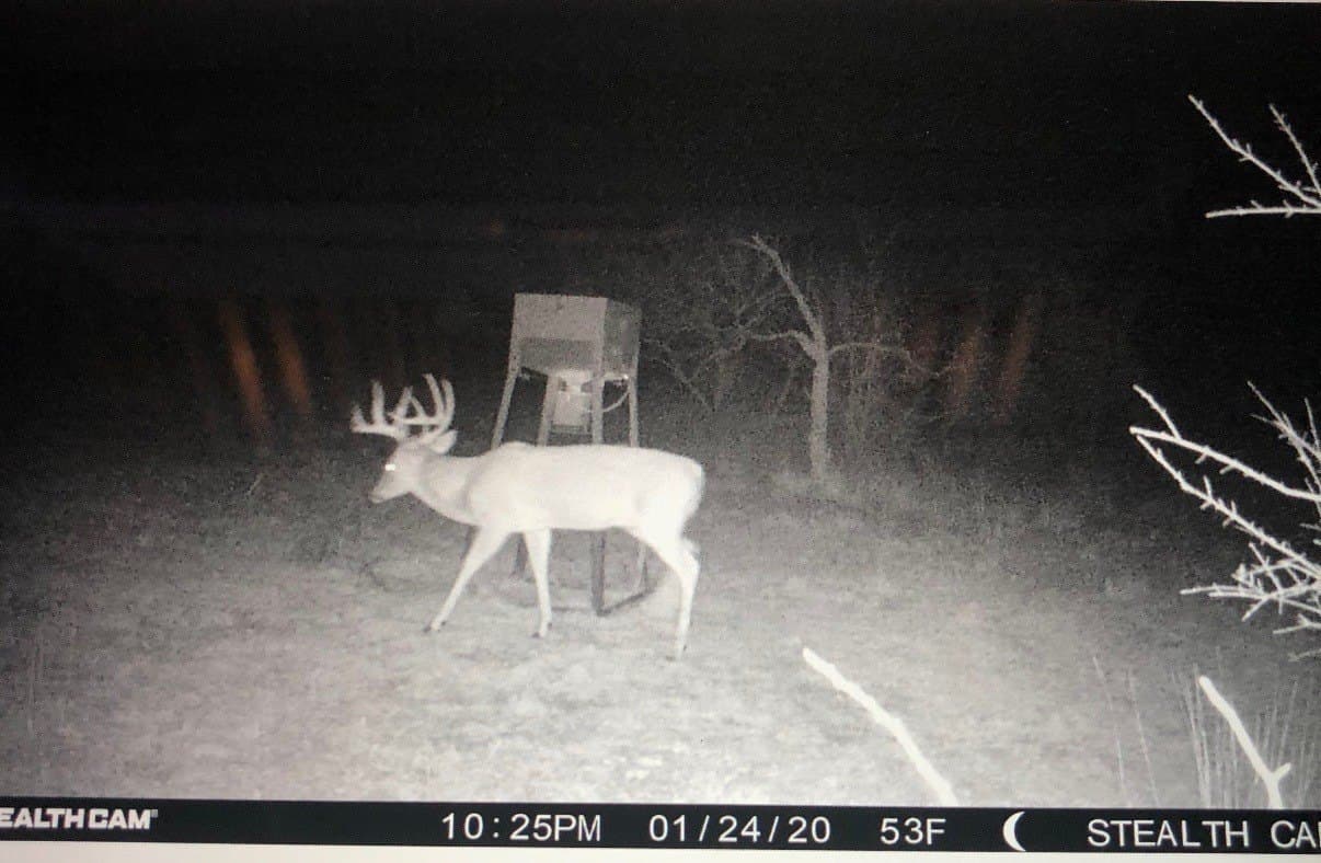 94.35 acres in Comanche County - photo 21