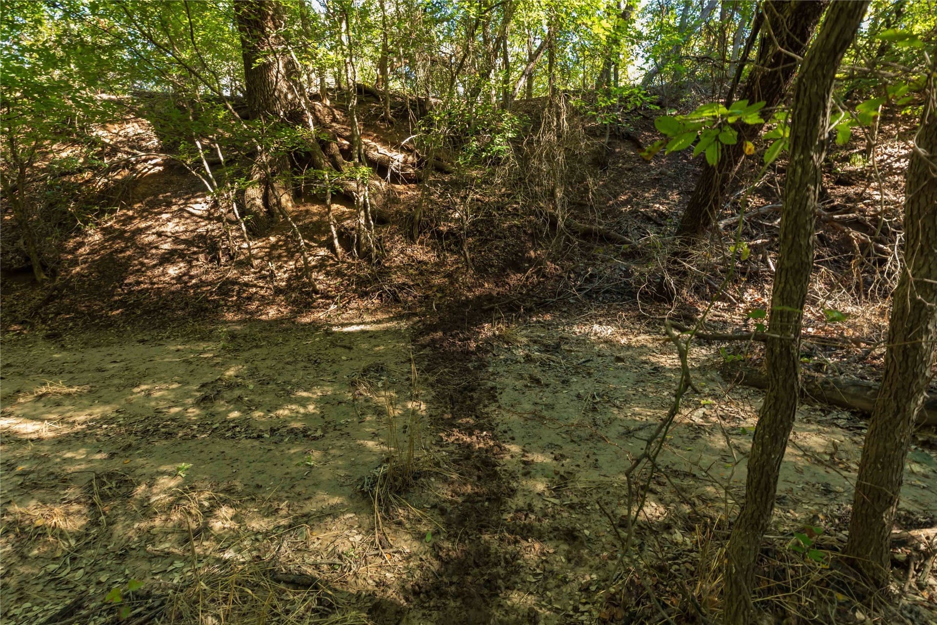94.35 acres in Comanche County - photo 5
