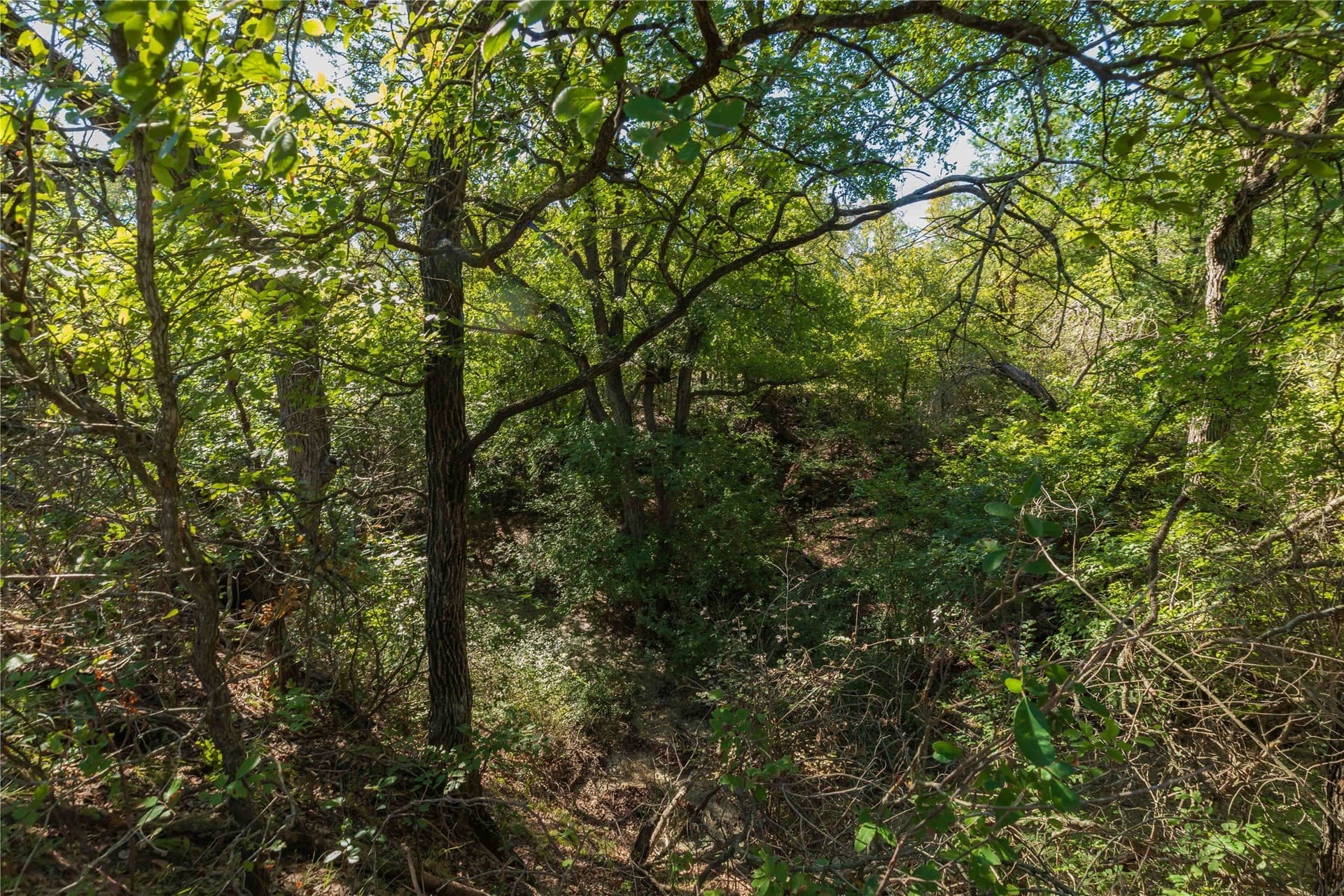 94.35 acres in Comanche County - photo 11