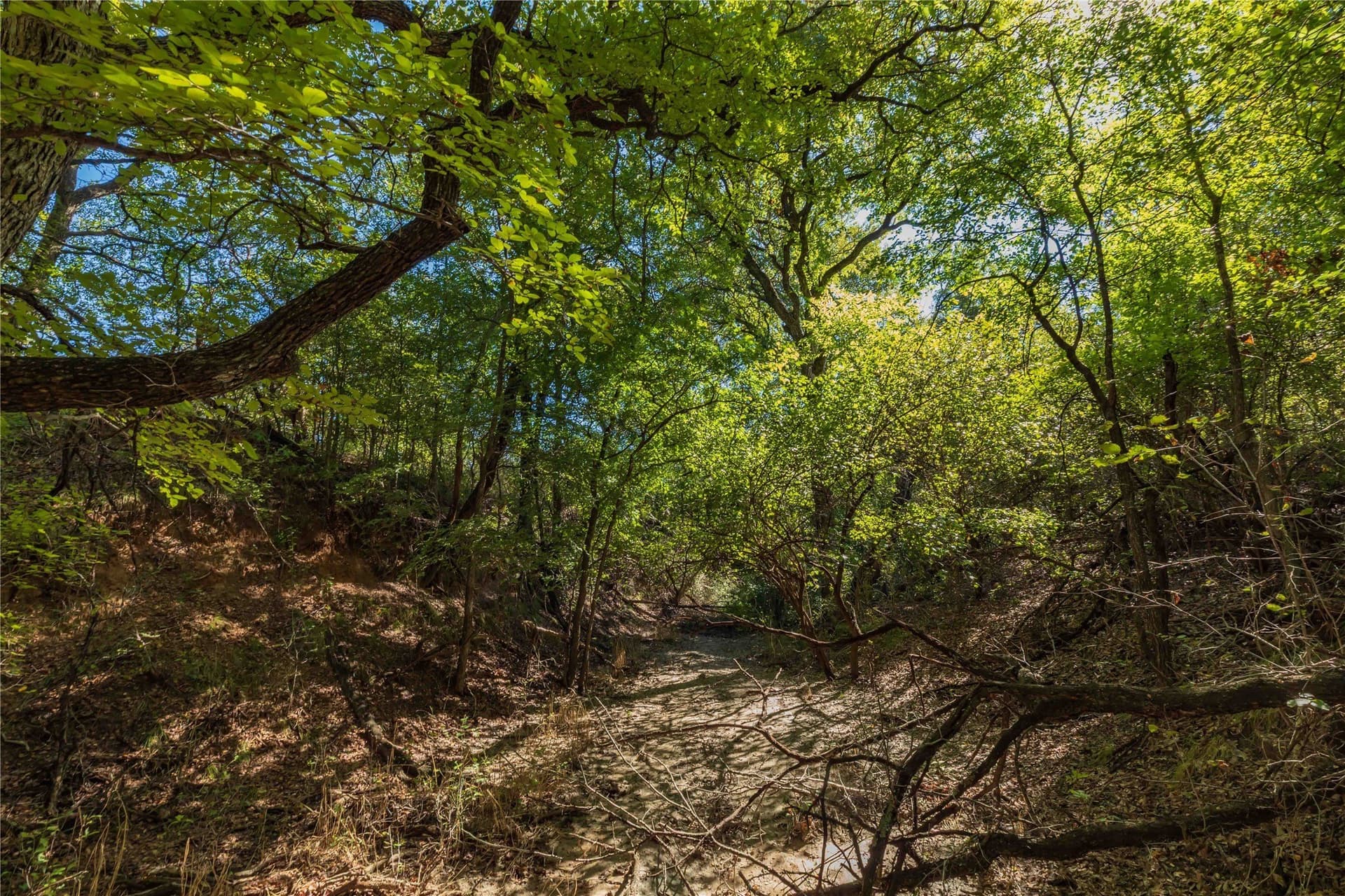 94.35 acres in Comanche County - photo 15