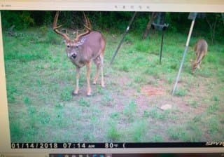 94.35 acres in Comanche County - photo 24