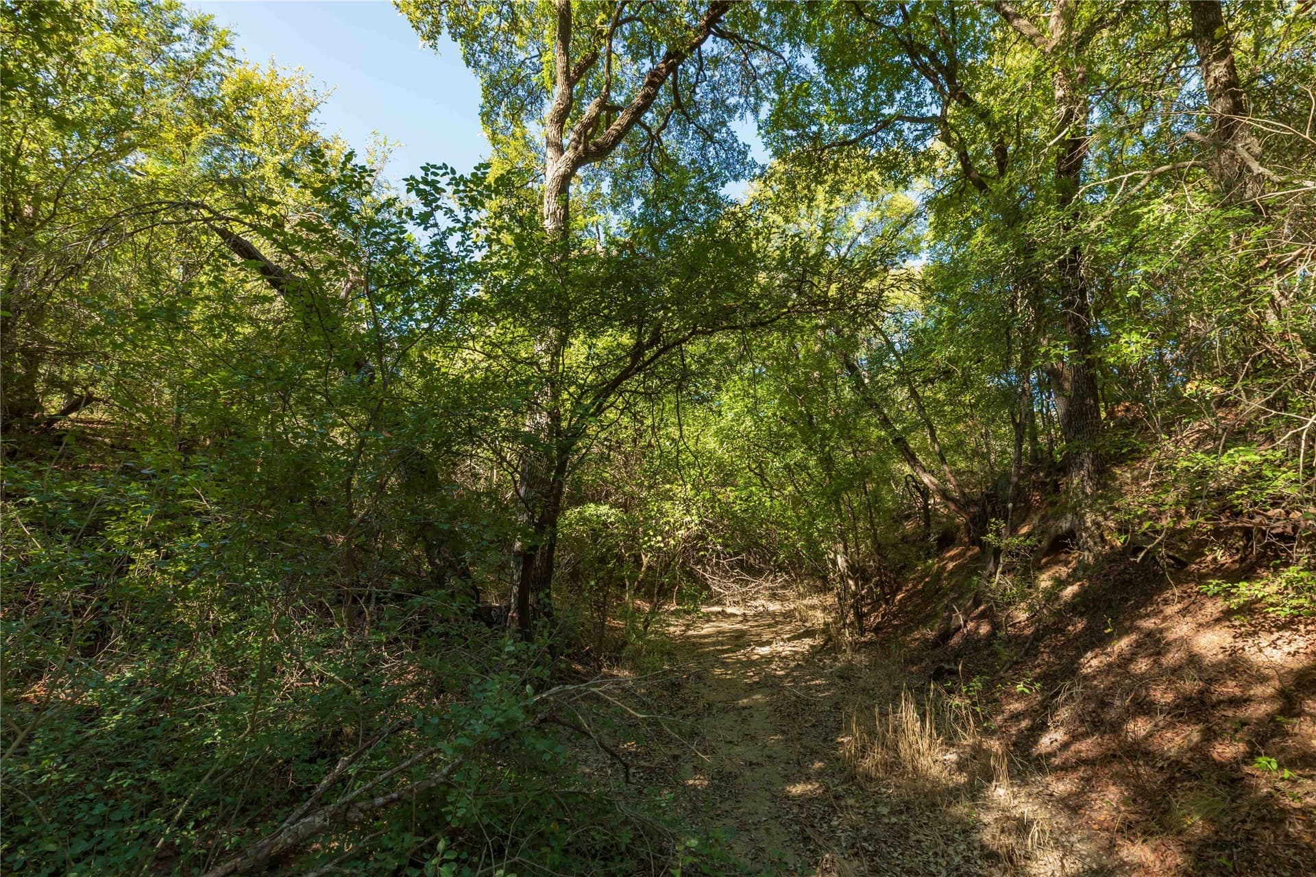94.35 acres in Comanche County - photo 2