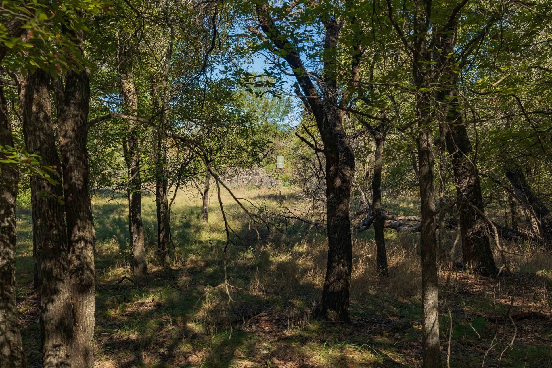 94.35 acres in Comanche County - photo 10