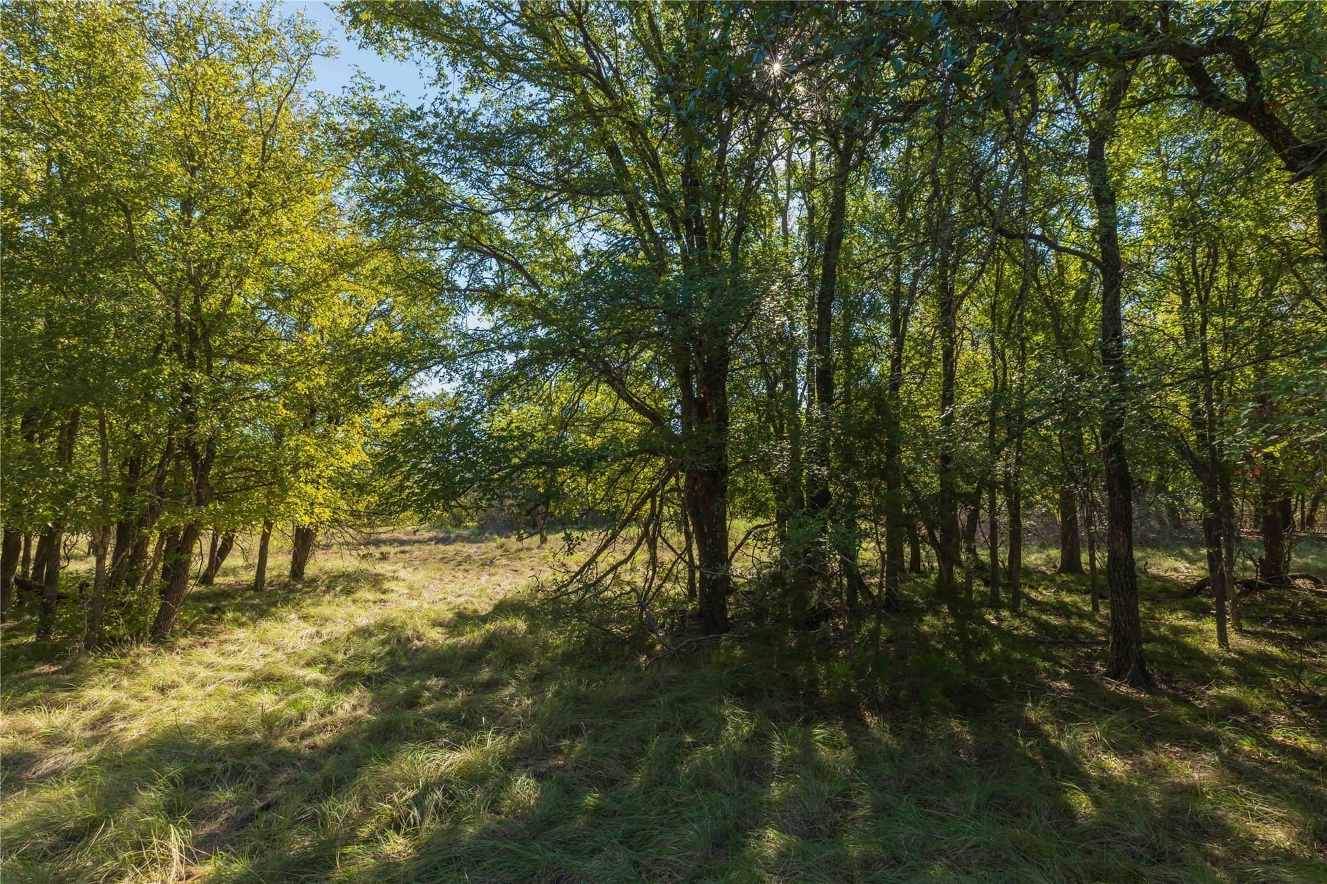 94.35 acres in Comanche County - photo 33