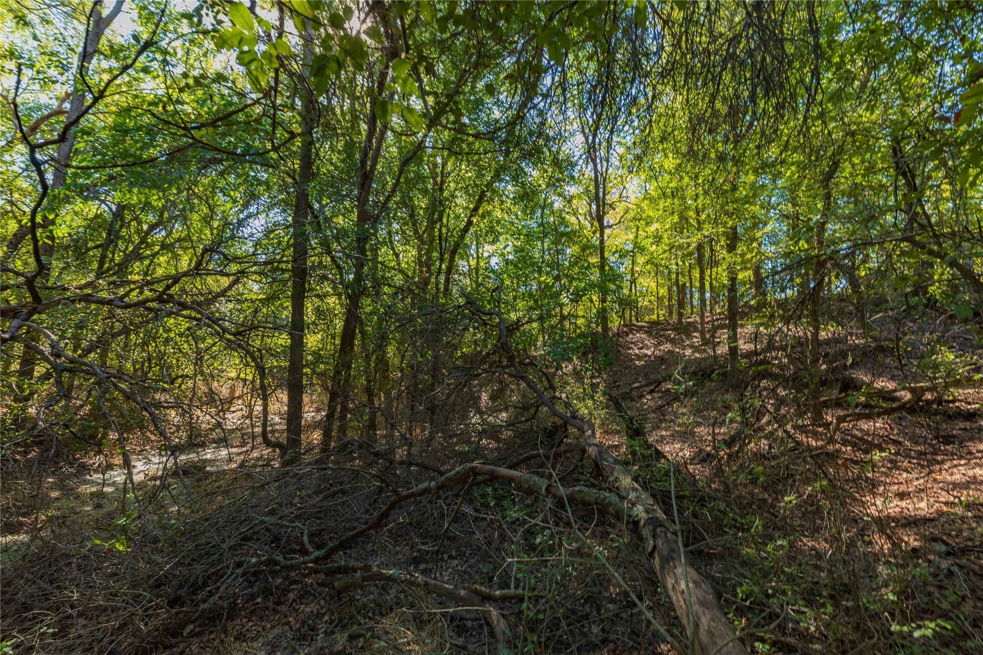 94.35 acres in Comanche County - photo 3