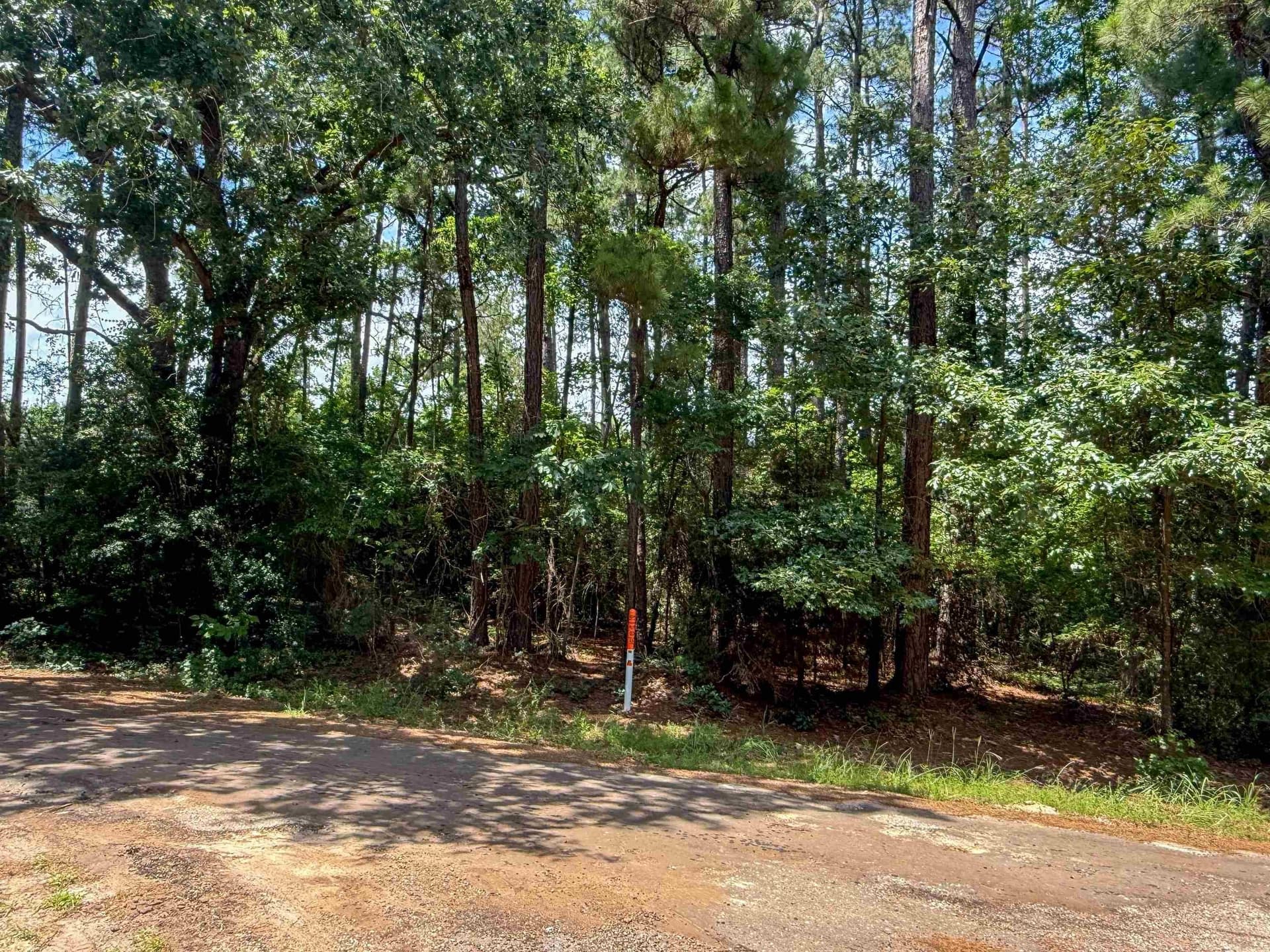0.21 acres in Texas County gallery image 4