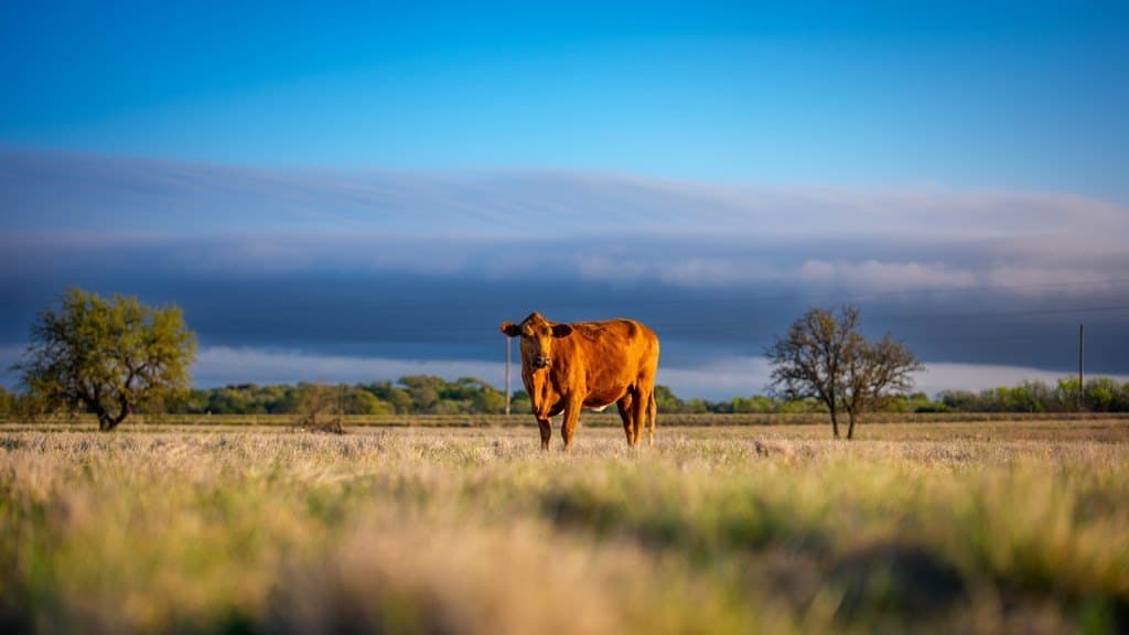 247 acres in Menard County - photo 44