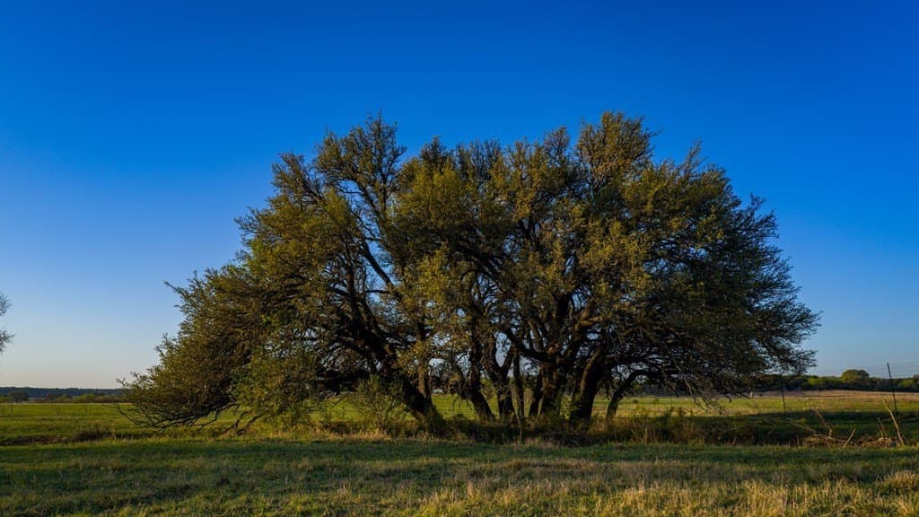 247 acres in Menard County - photo 38