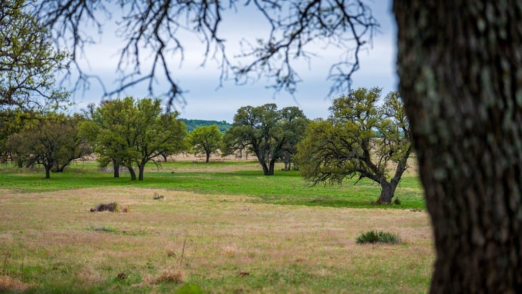 247 acres in Menard County - photo 28