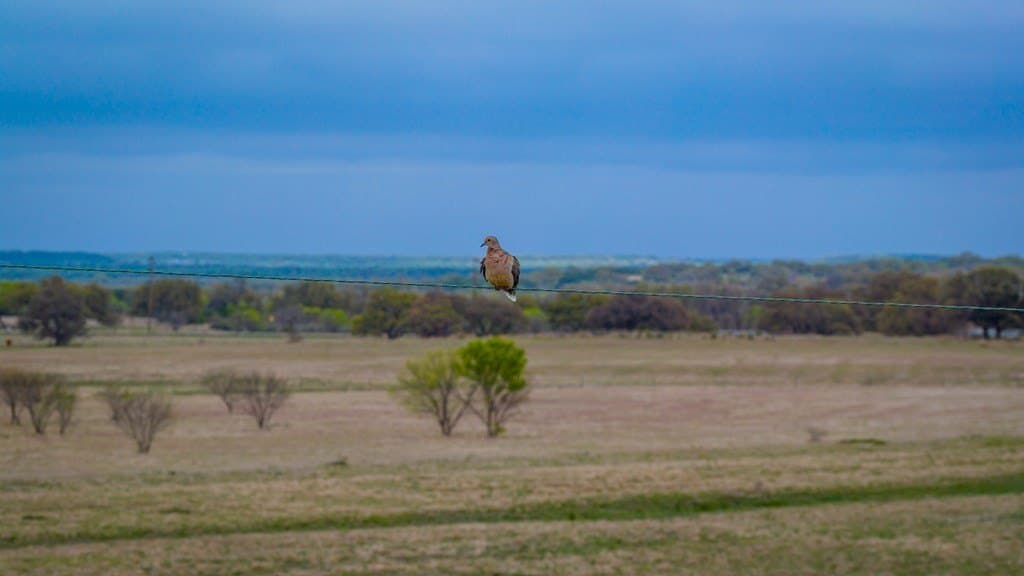 247 acres in Menard County - photo 87