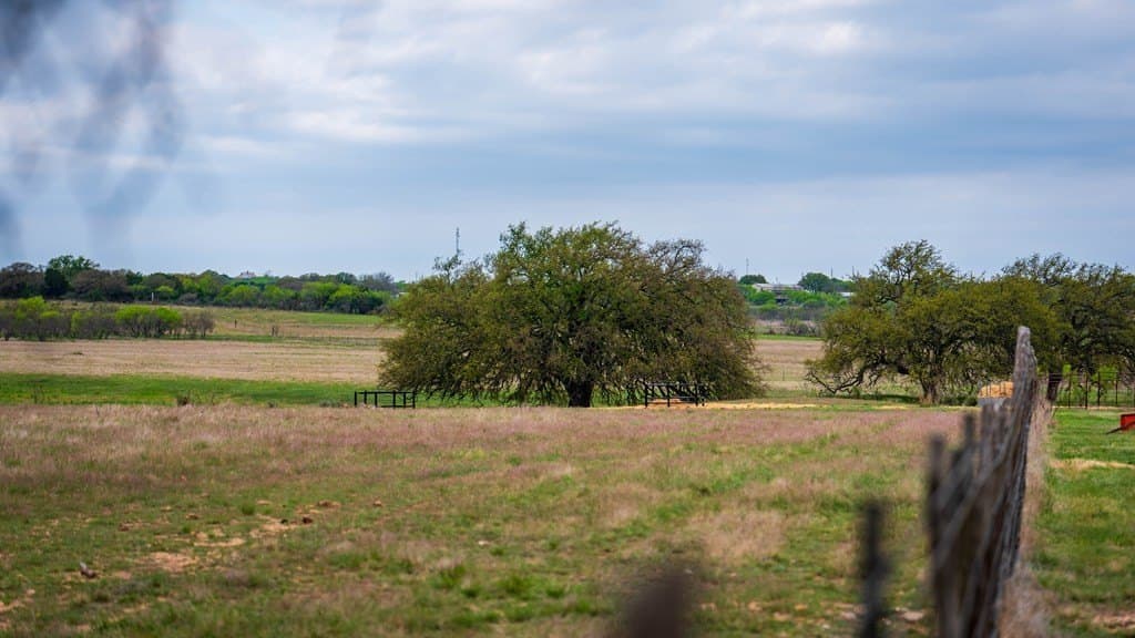 247 acres in Menard County - photo 9