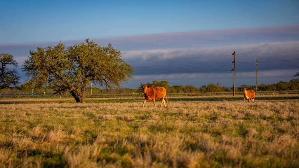 247 acres in Menard County - photo 43