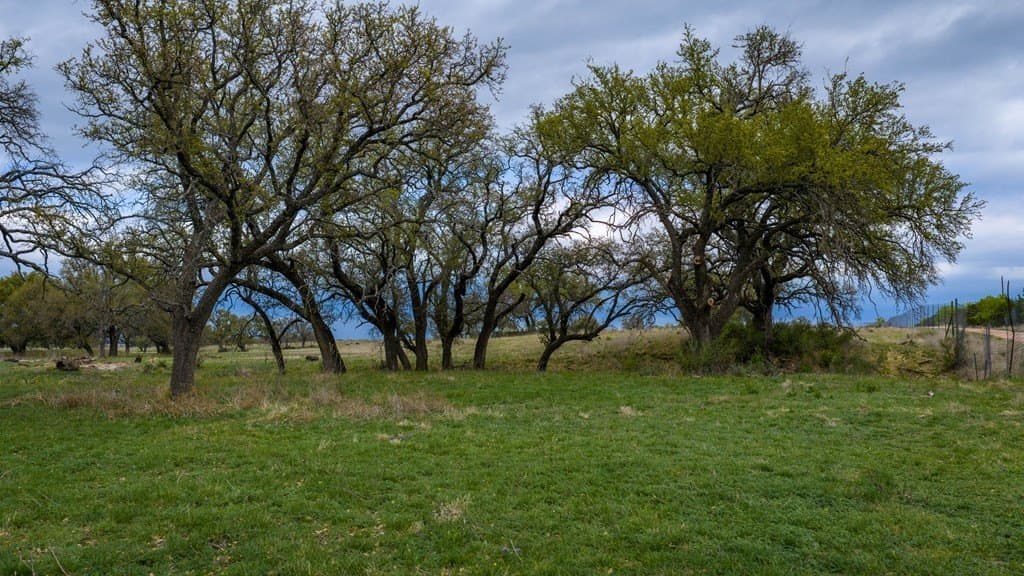 247 acres in Menard County - photo 93