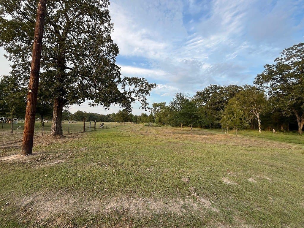 15 acres in Burleson County gallery image 2