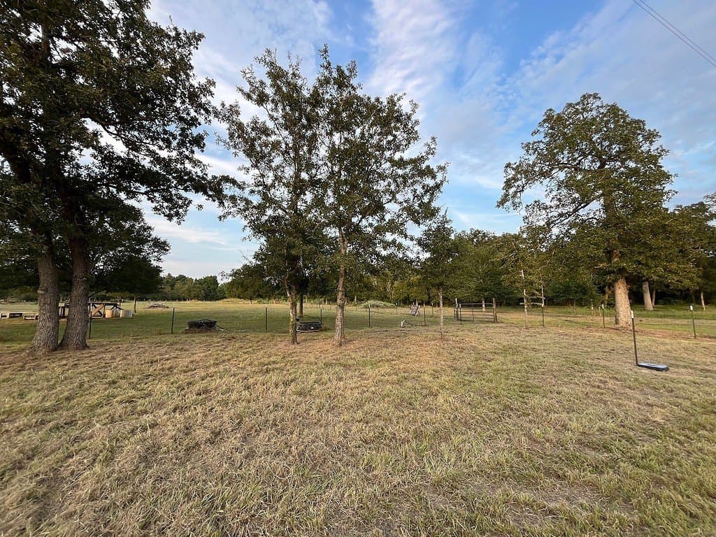 15 acres in Burleson County gallery image 4
