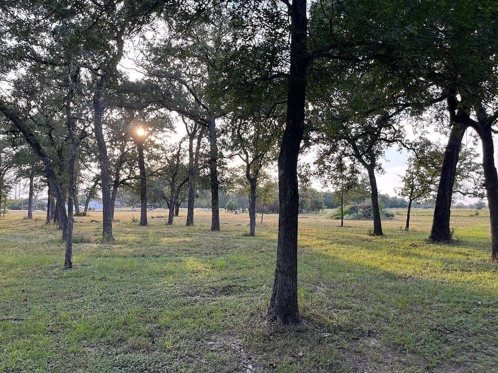 15 acres in Burleson County
