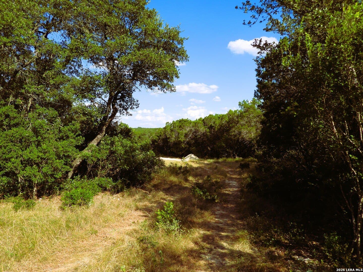 25.6 acres in Medina County - photo 7