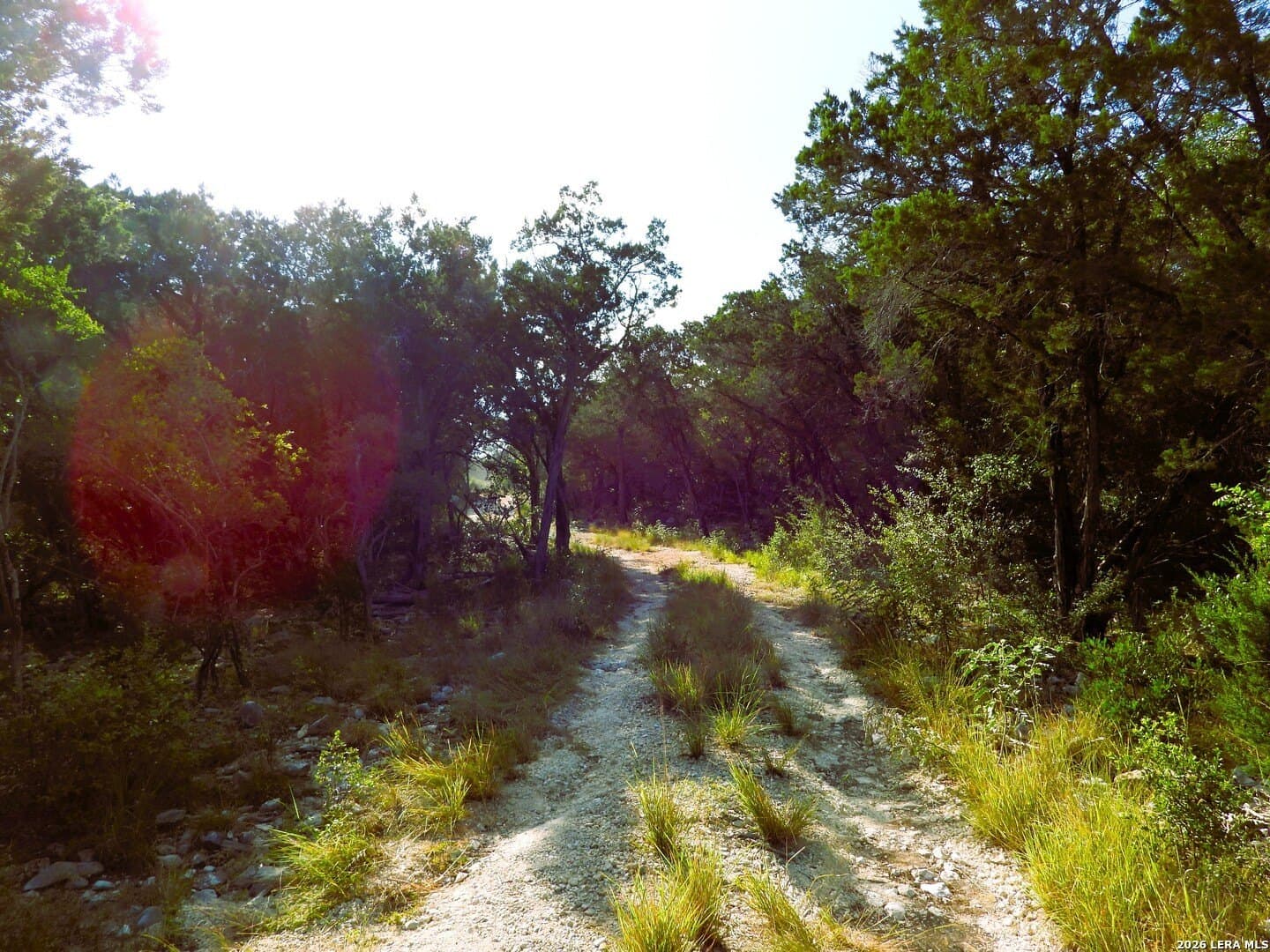 25.6 acres in Medina County - photo 9