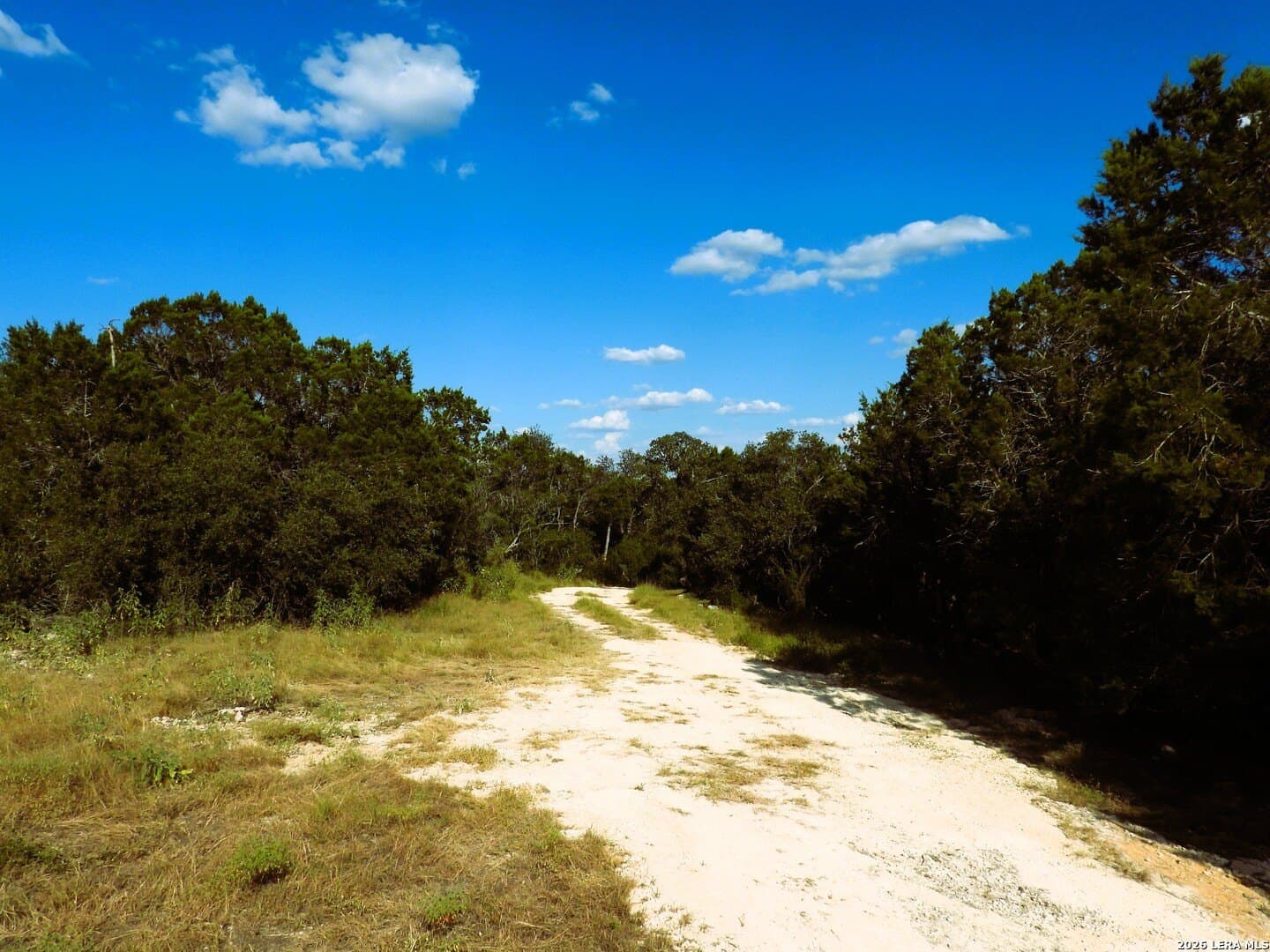 25.6 acres in Medina County - photo 8