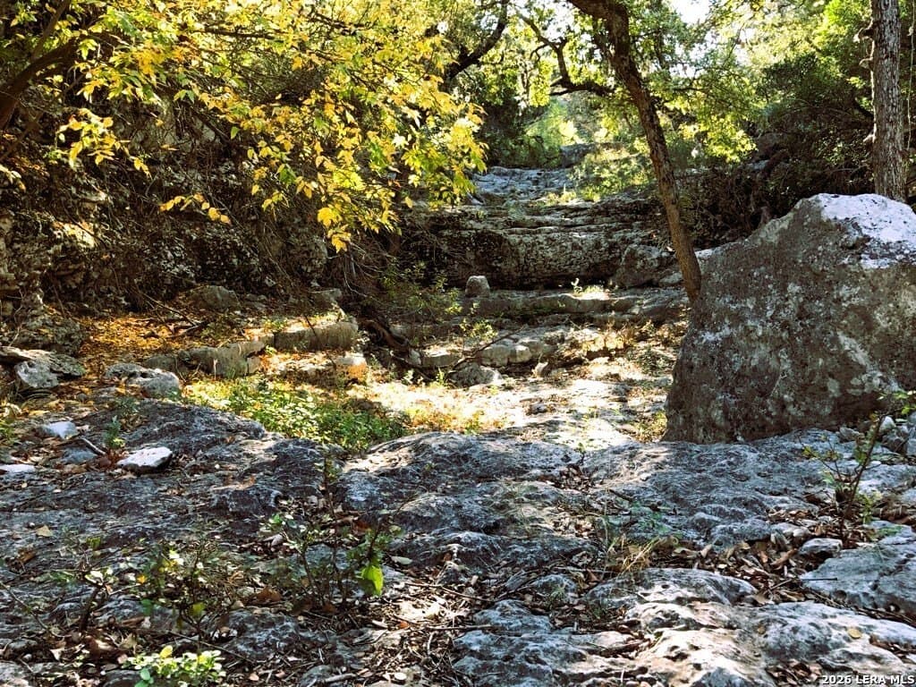 25.6 acres in Medina County - photo 40