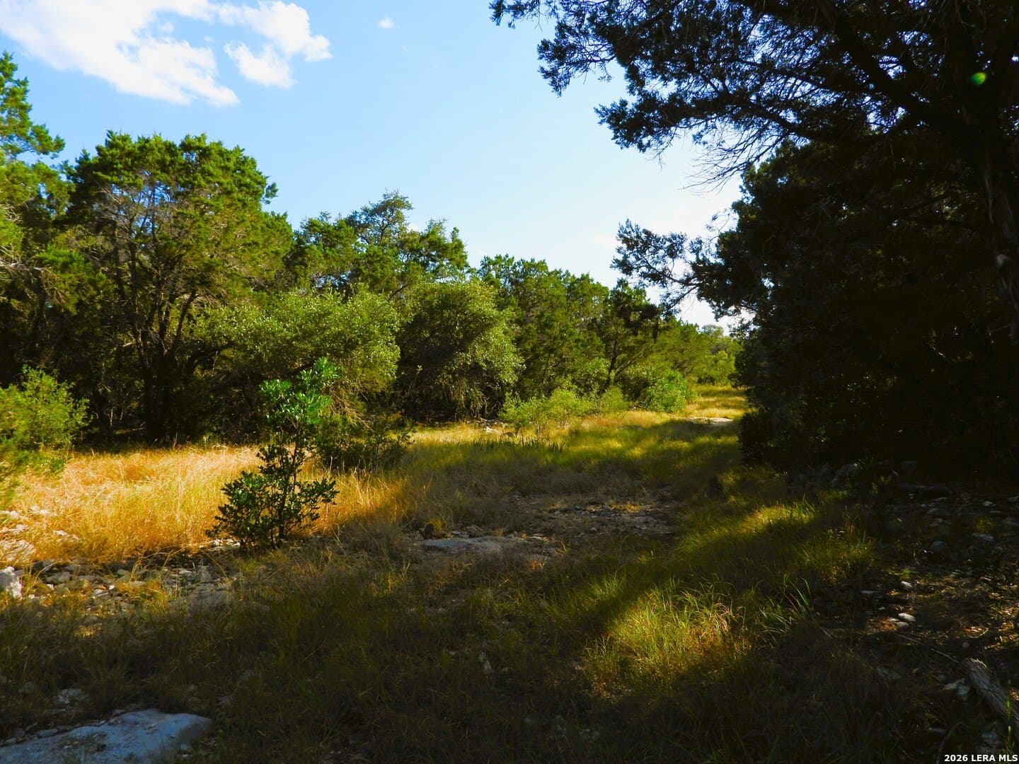 25.6 acres in Medina County - photo 21