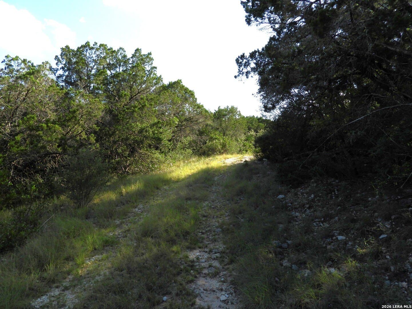 25.6 acres in Medina County - photo 19