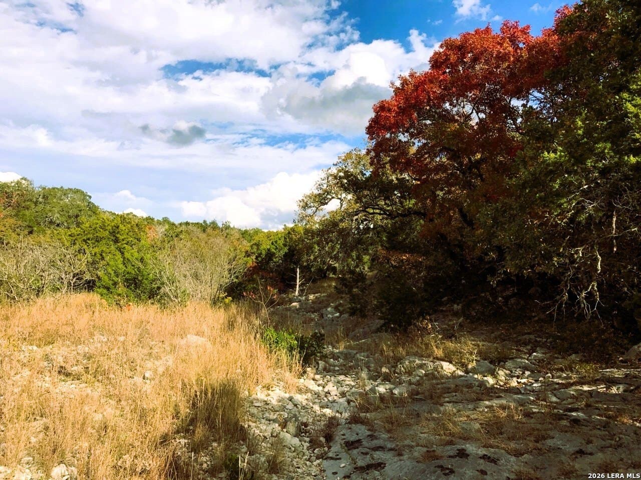 25.6 acres in Medina County - photo 42