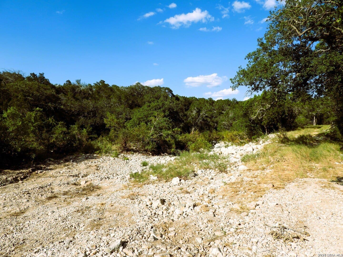 25.6 acres in Medina County - photo 17