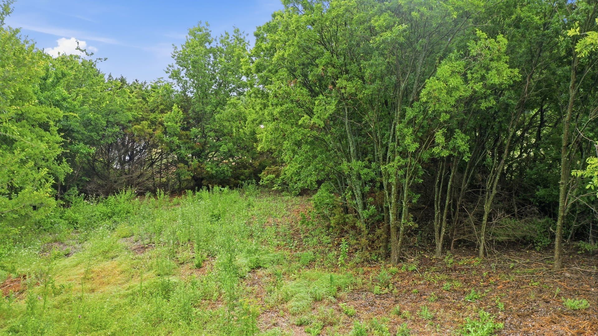 1.52 acres in Parker County - photo 8