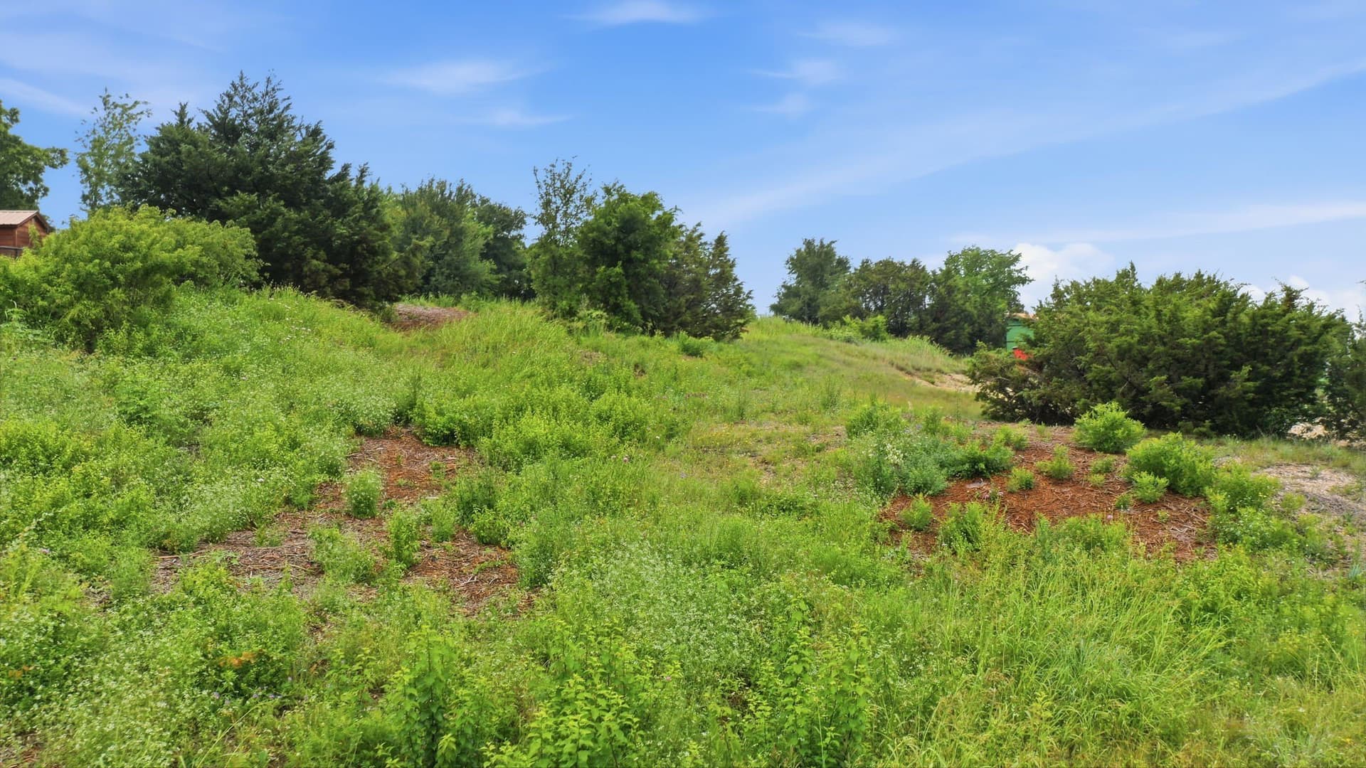 1.52 acres in Parker County - photo 10