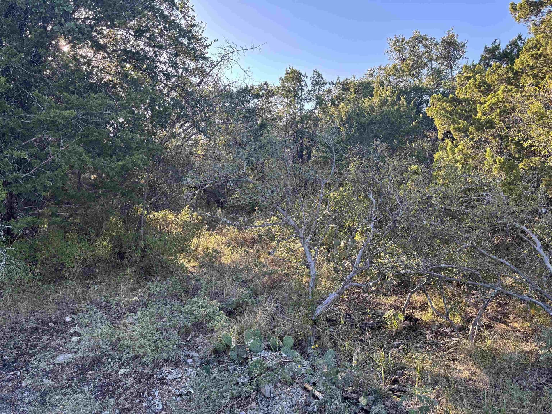 0.23 acres in Burnet County gallery image 3