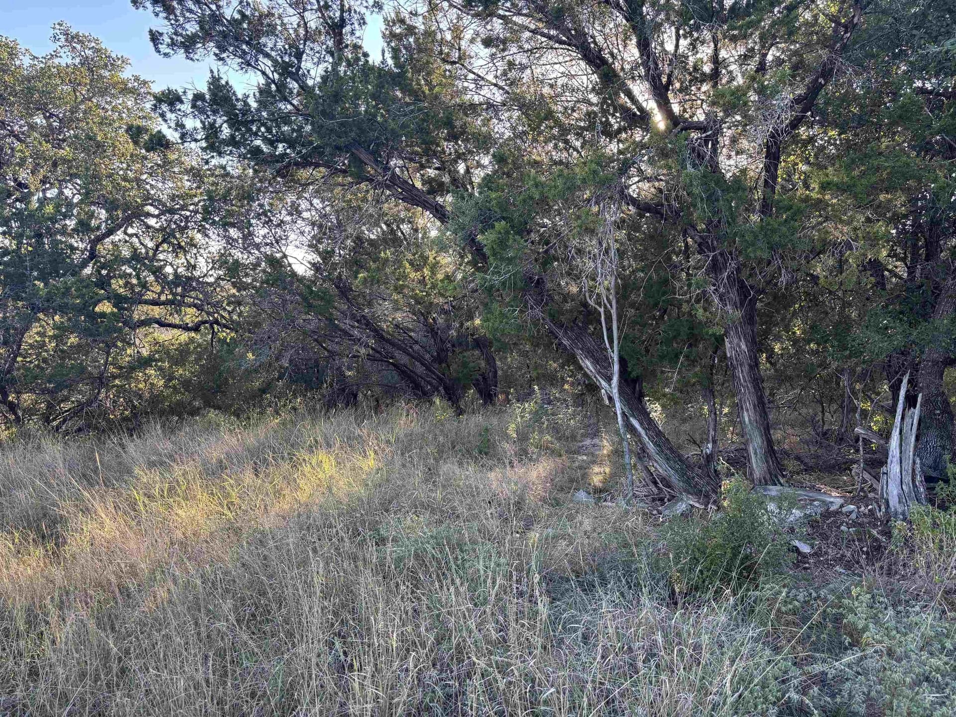 0.23 acres in Burnet County gallery image 2