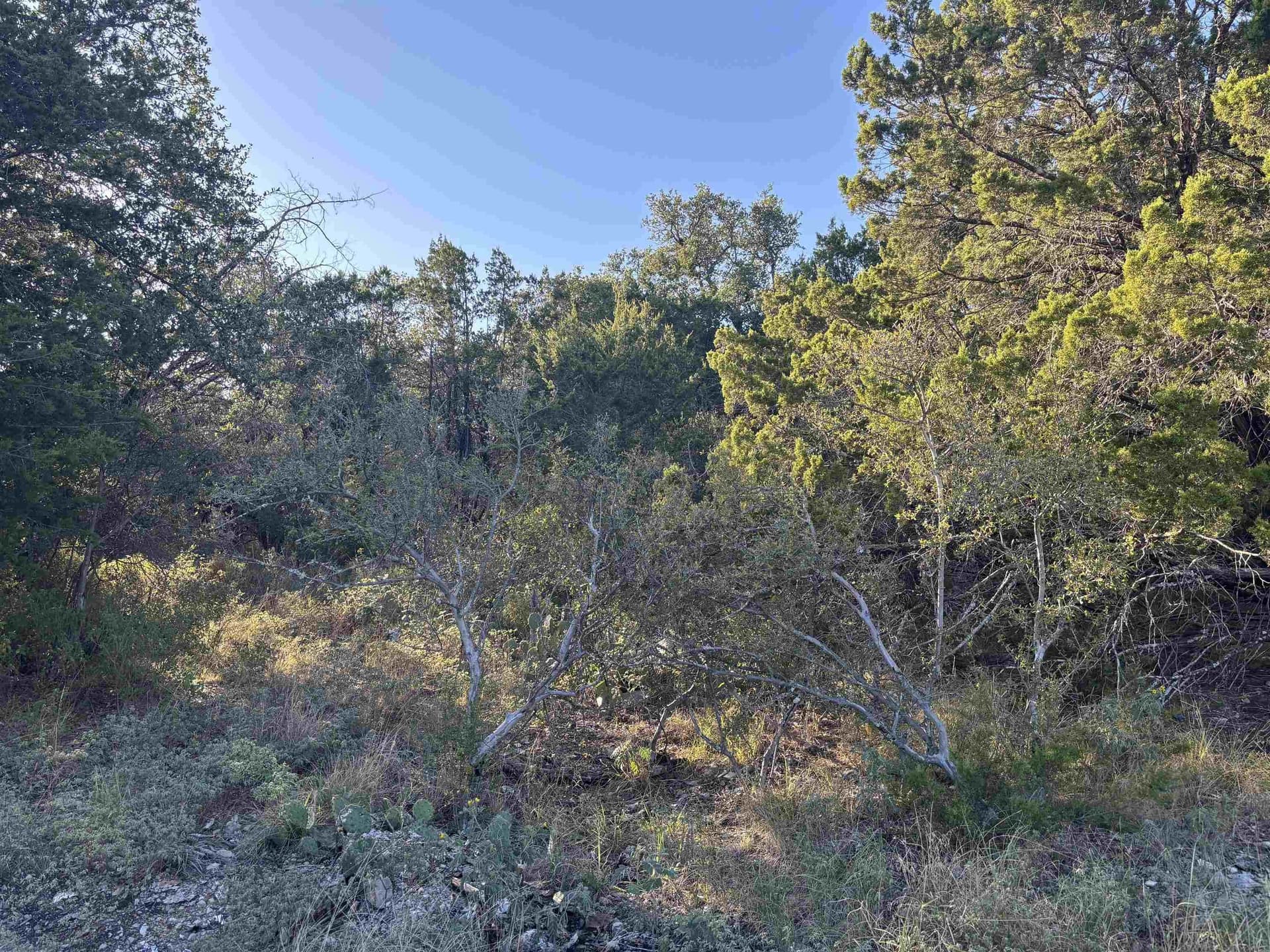 0.23 acres in Burnet County gallery image 4