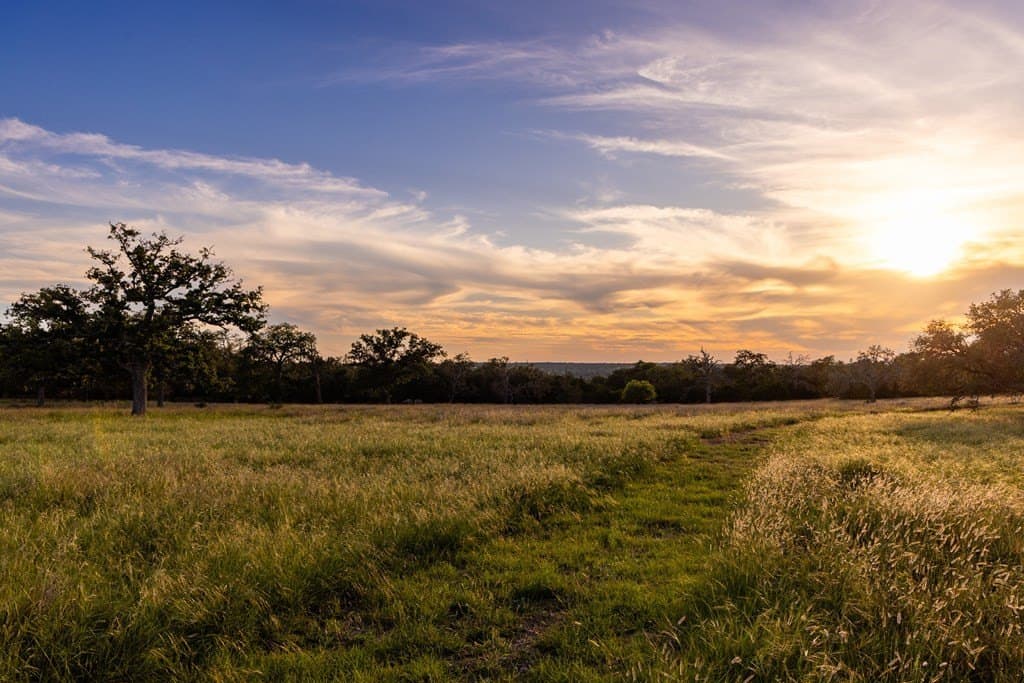 284.9 acres in Kerr County gallery image 3