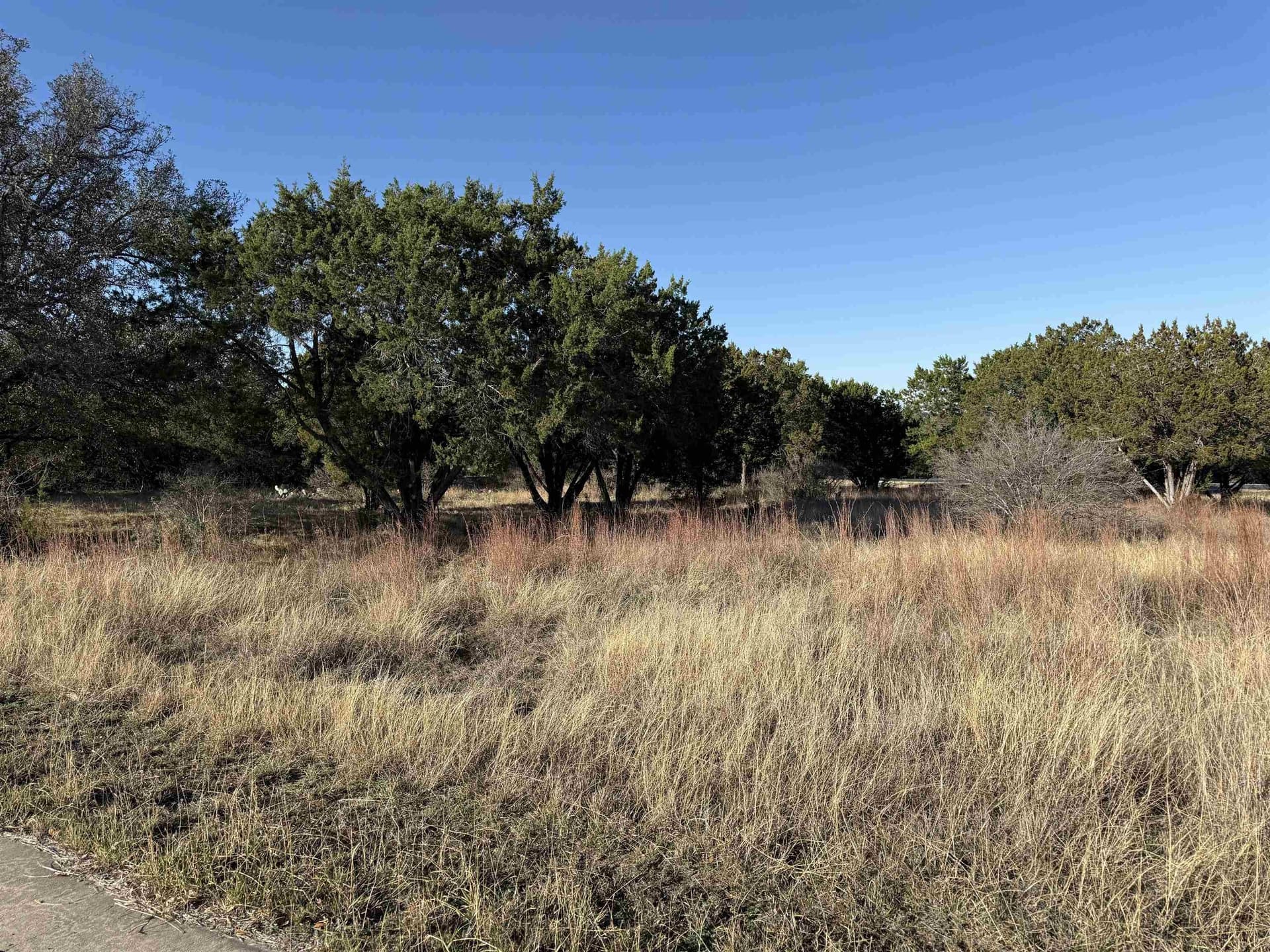 0.23 acres in Llano County - photo 5