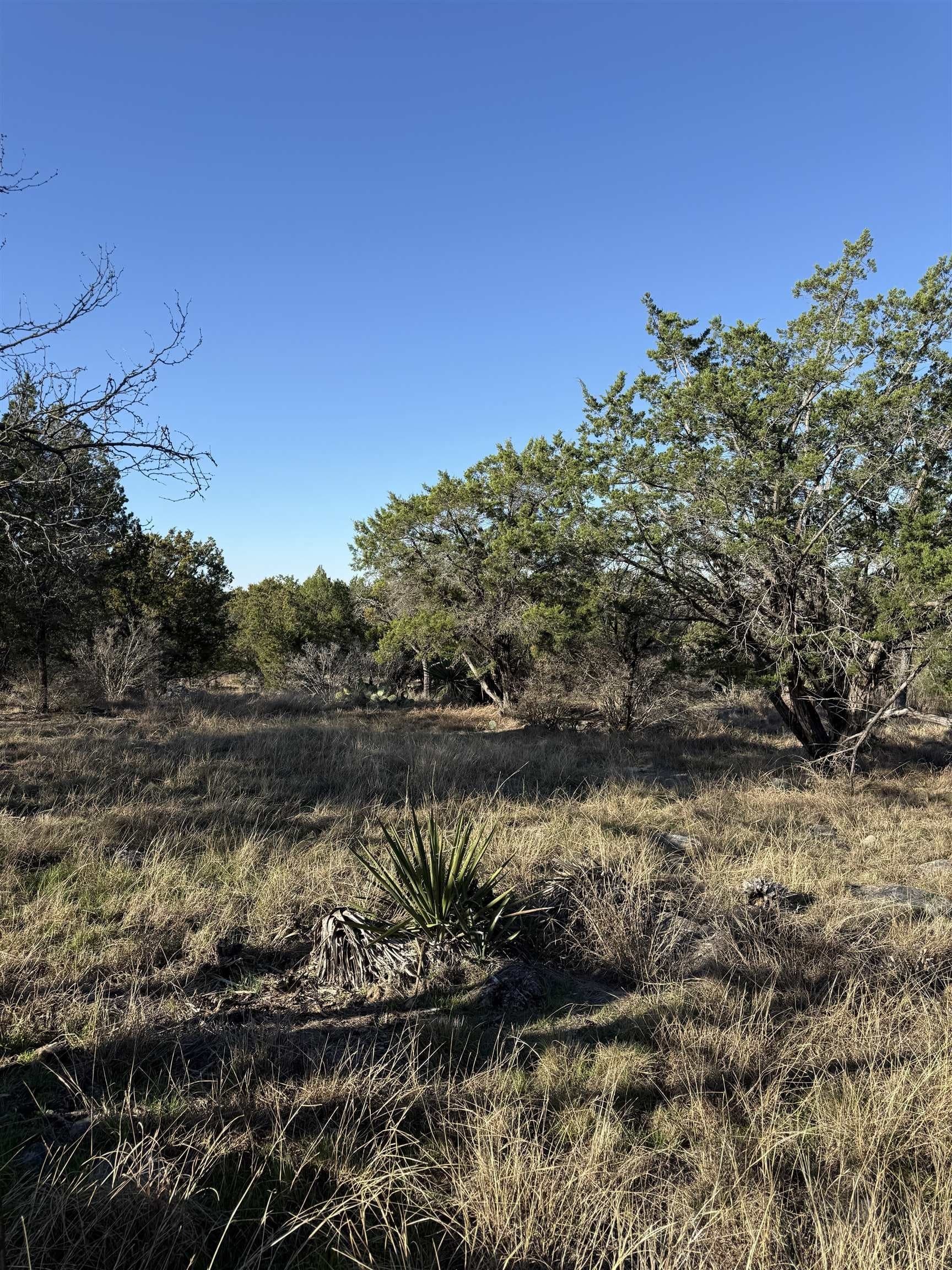 0.23 acres in Llano County - photo 6