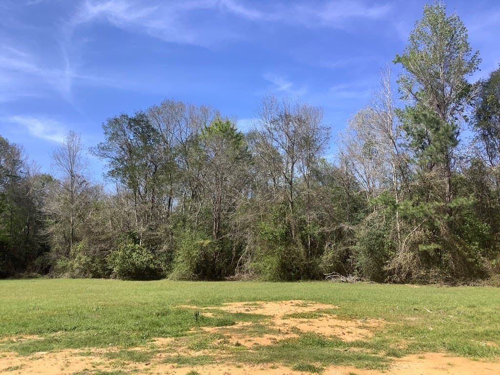 29 acres in Texas County - photo 3