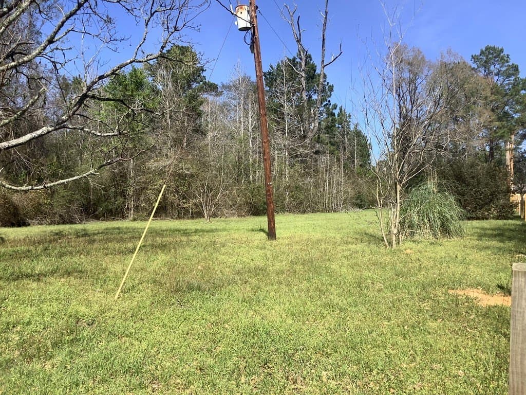 29 acres in Texas County - photo 5