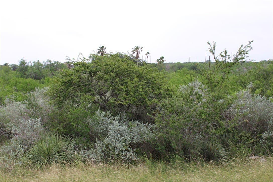 0.24 acres in Live Oak County