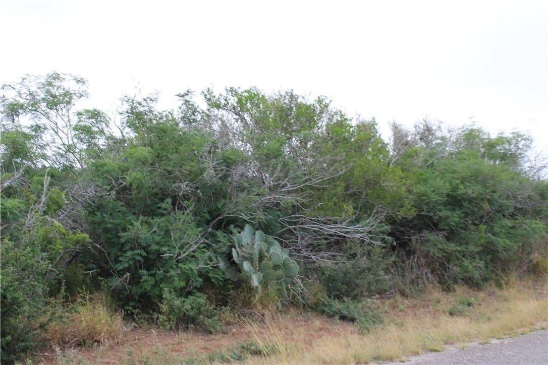 0.24 acres in Live Oak County - photo 3