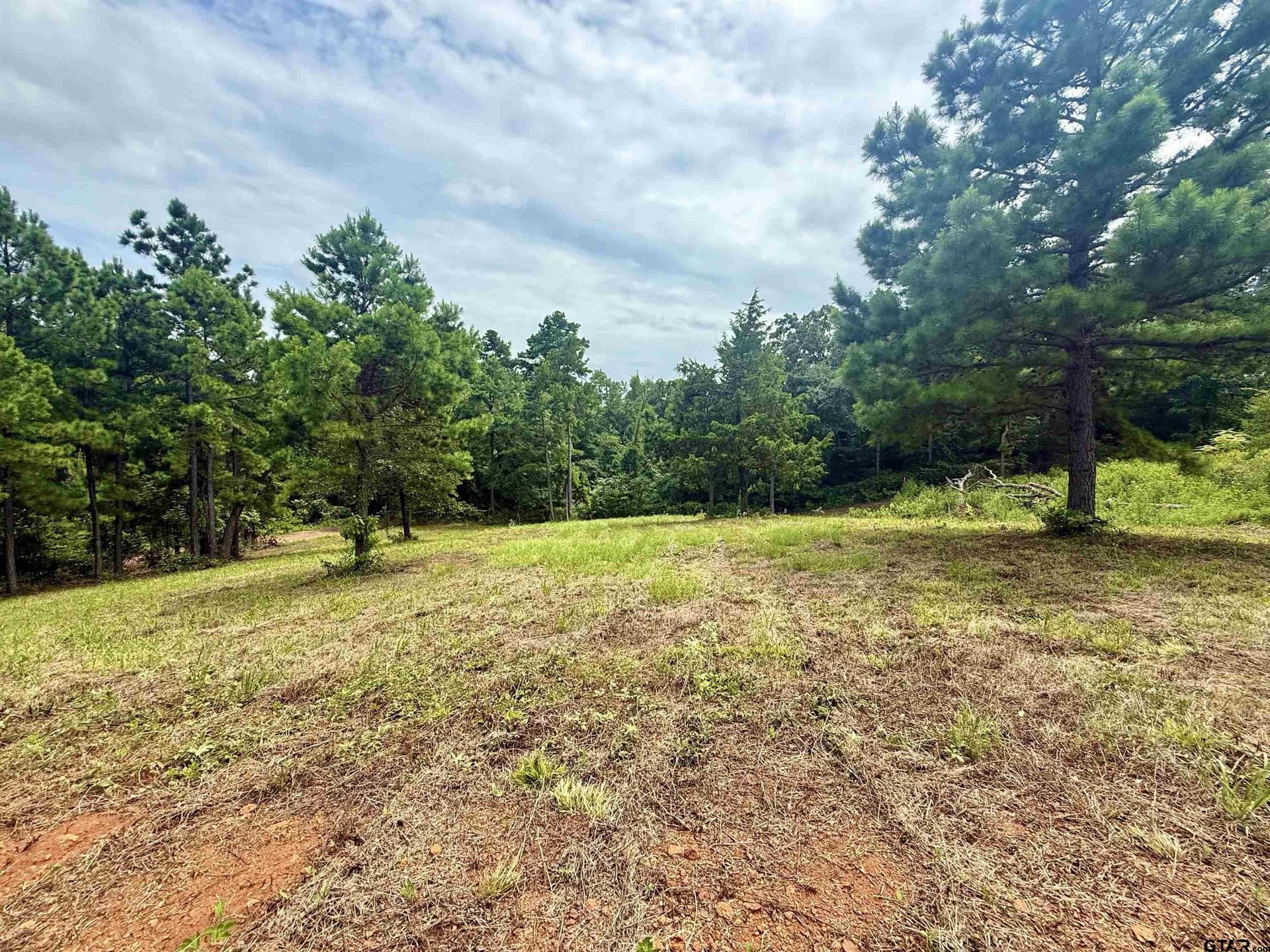1.17 acres in Smith County - photo 11