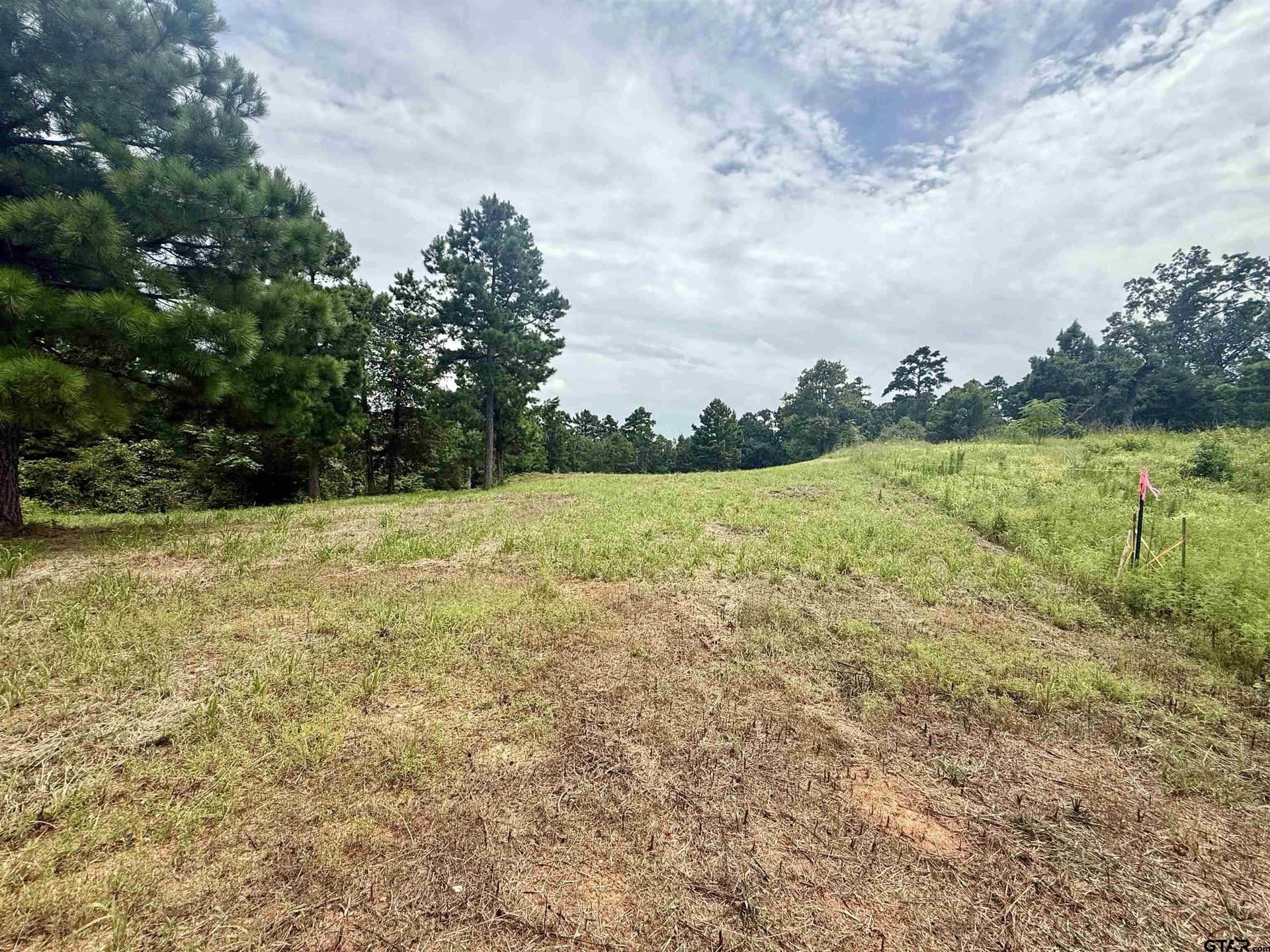 1.17 acres in Smith County featured view