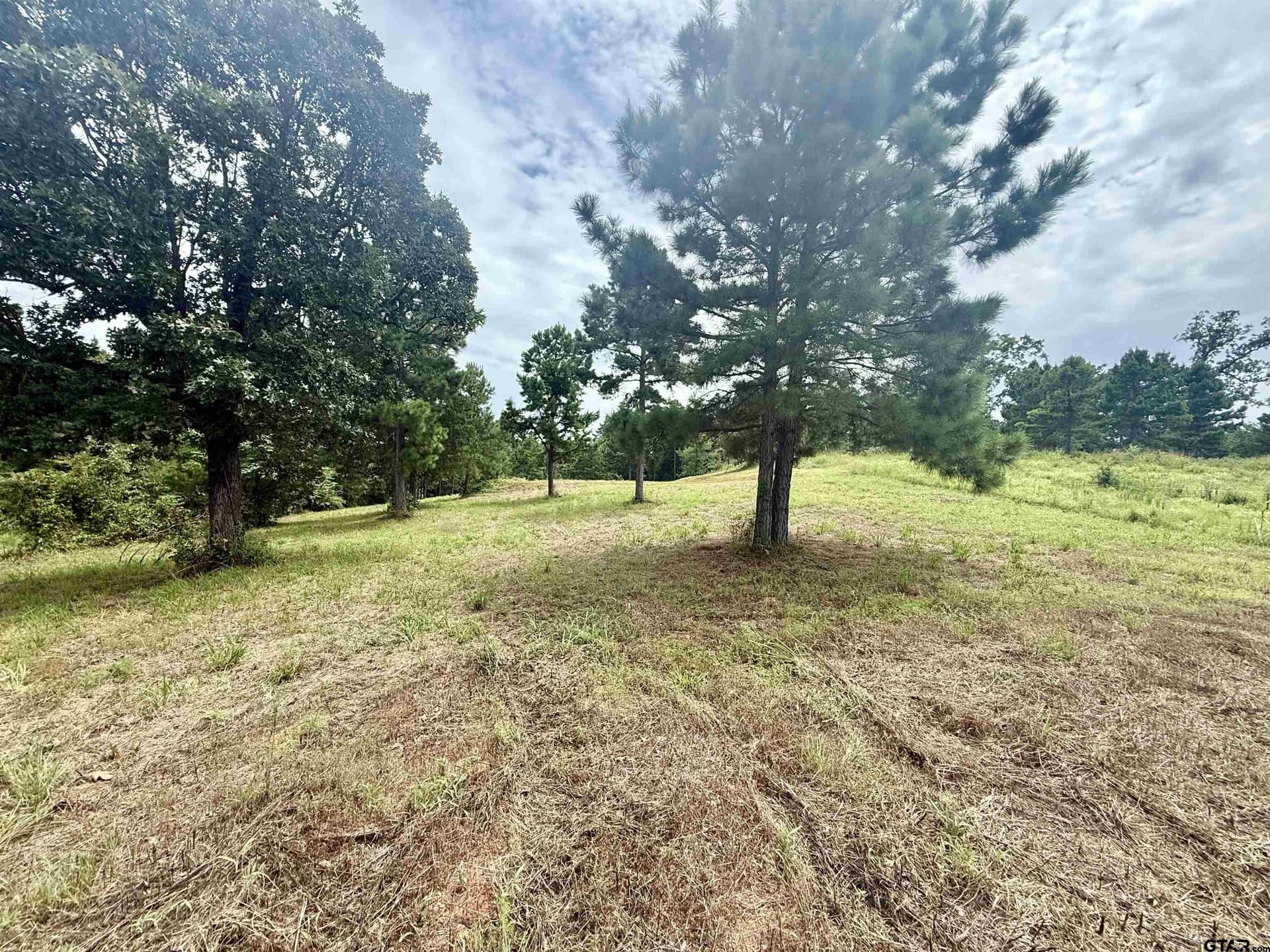 1.17 acres in Smith County gallery image 4