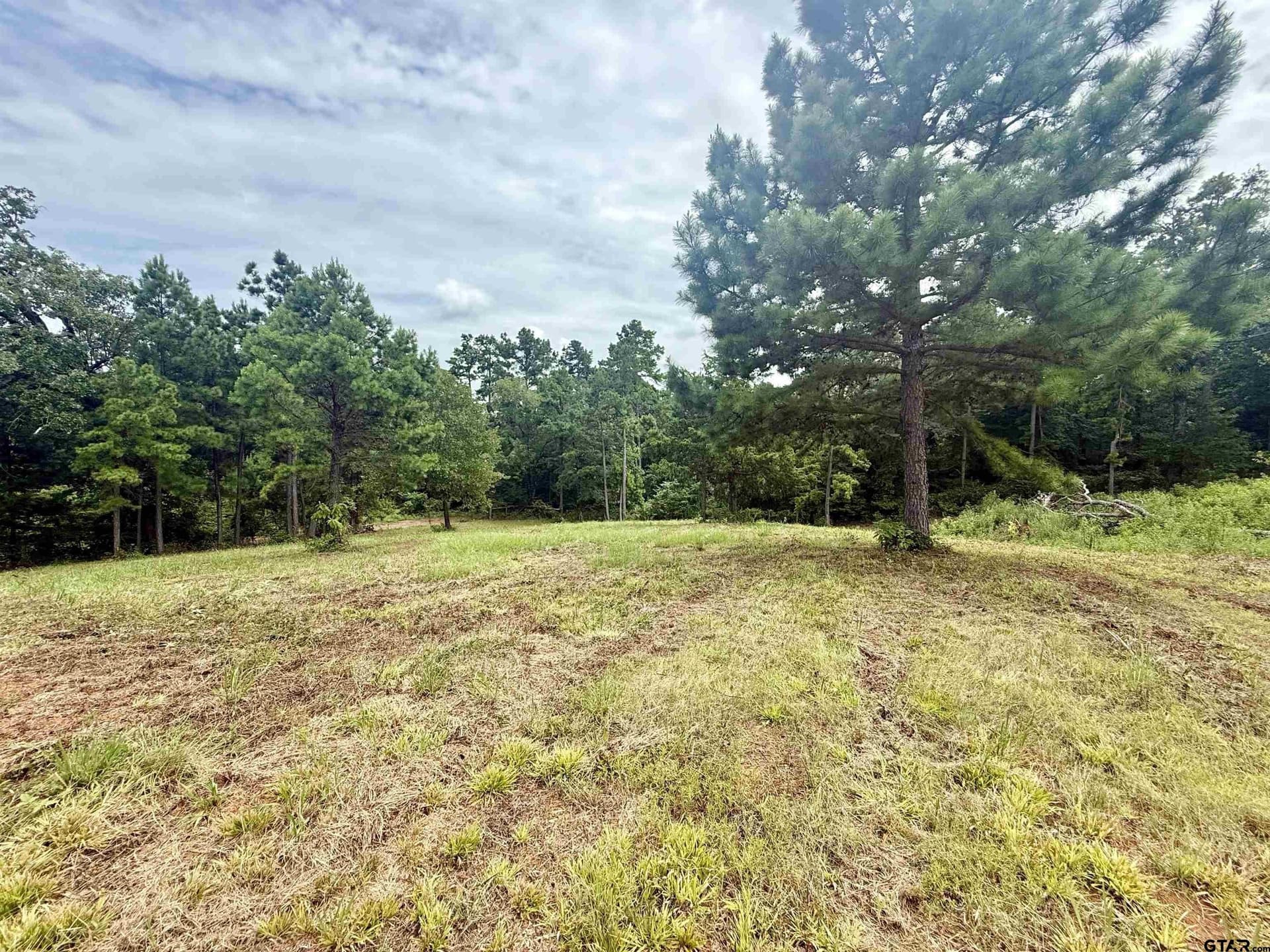 1.17 acres in Smith County - photo 7