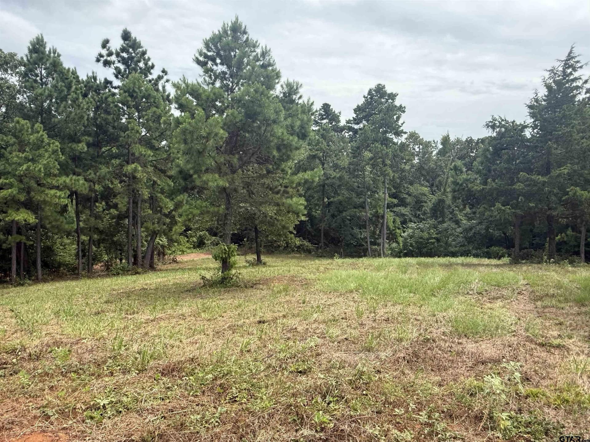 1.17 acres in Smith County - photo 13