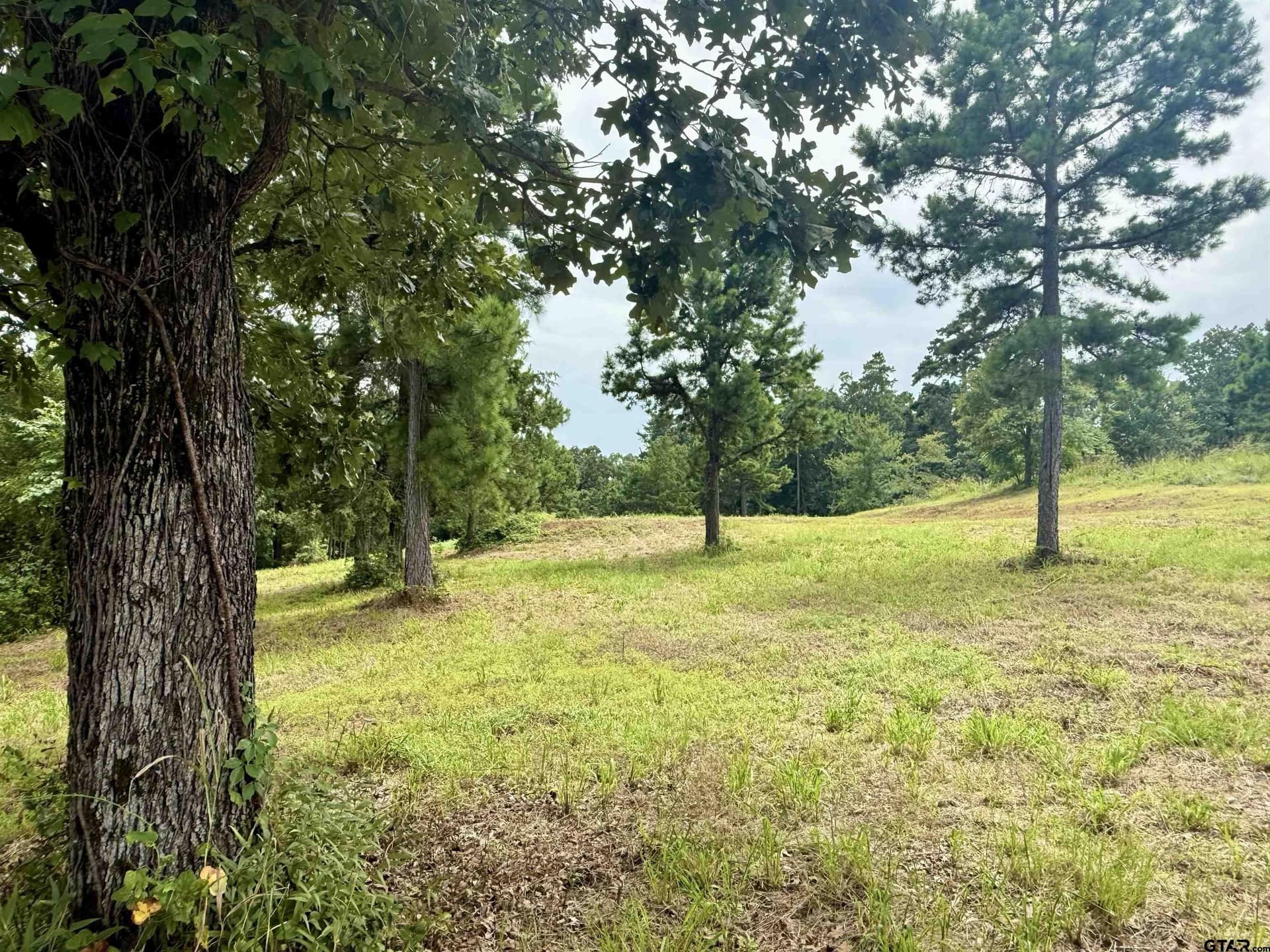 1.17 acres in Smith County - photo 6