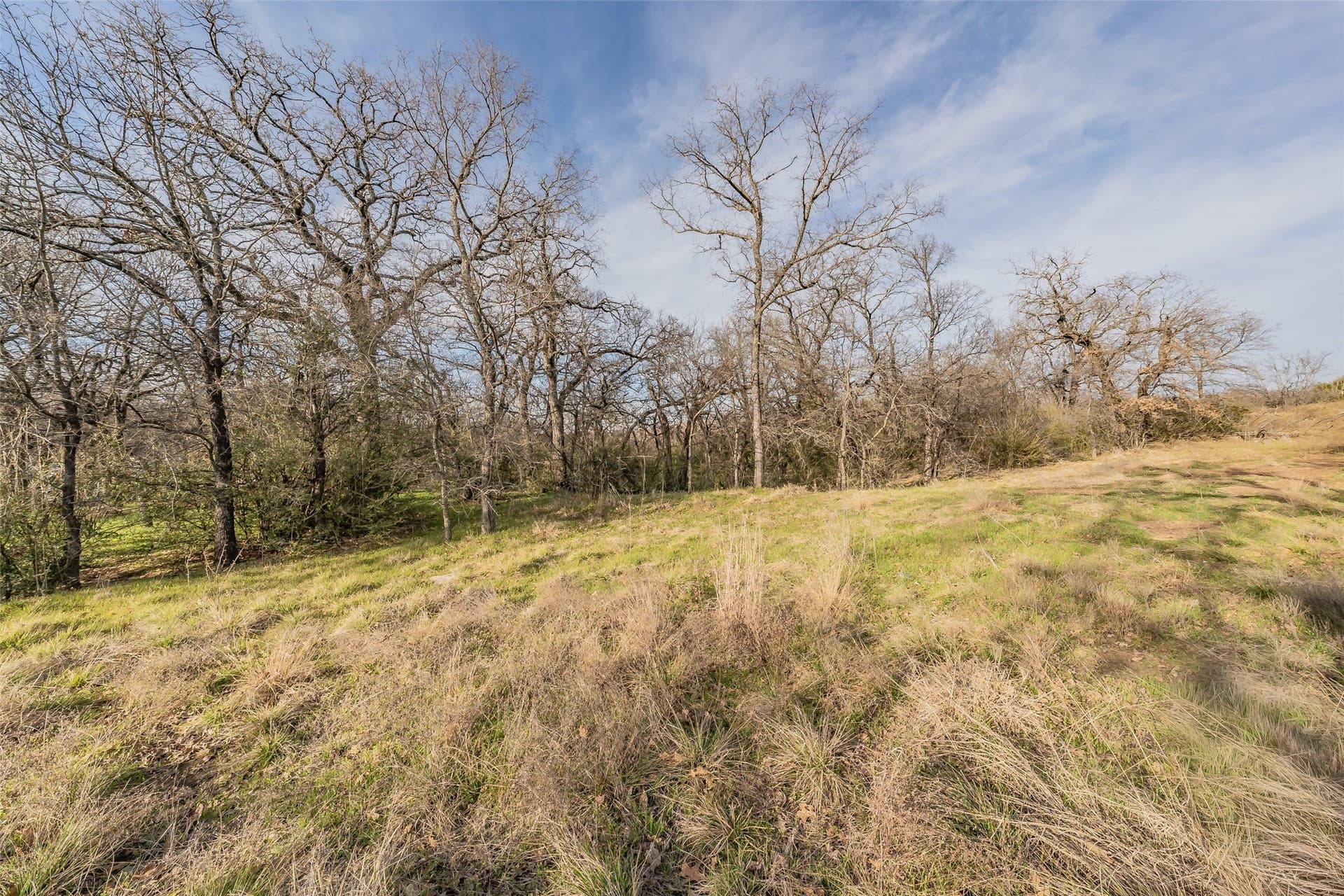 5.48 acres in Tarrant County - photo 5